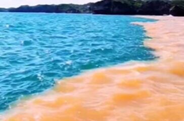 Air laut di Pantai Baron Gunungkidul jadi 2 warna [murianews]