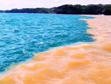 Air laut di Pantai Baron Gunungkidul jadi 2 warna [murianews]