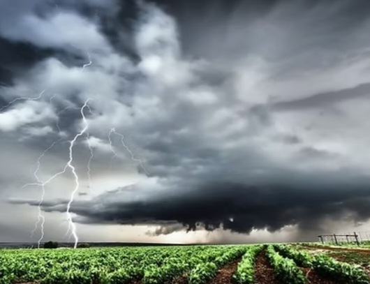 Ilustrasi cuaca ekstrem [mertani]