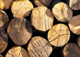 Ilustrasi kayu mentah [merdeka]