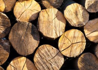 Ilustrasi kayu mentah [merdeka]