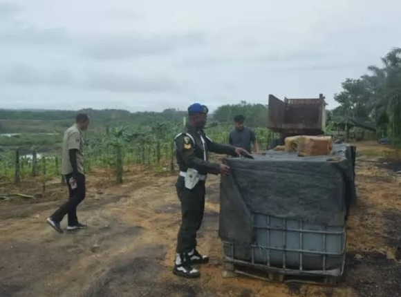 Ilustrasi terungkapnya Penambangan Batu Bara Ilegal Bukit Soeharto di IKN [prokal]