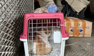 Foto istimewa/KAI Logistik