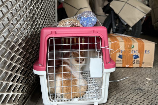 Foto istimewa/KAI Logistik