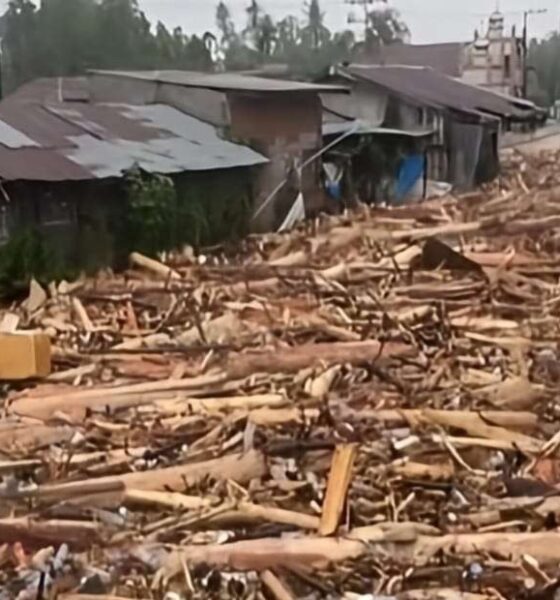 BRIN bantu identifikasi kayu hanyut terbawa banji Sumatera [rri]