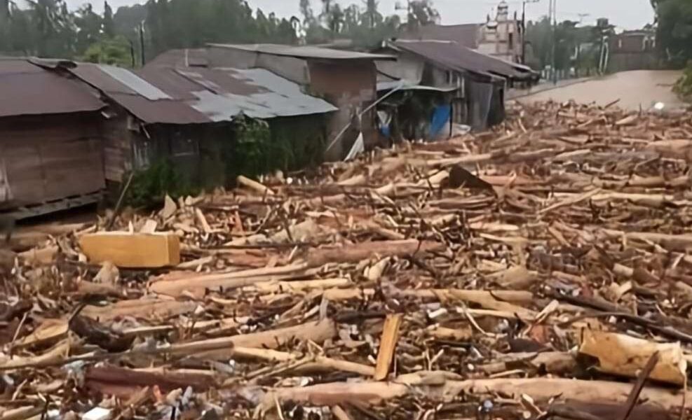 BRIN bantu identifikasi kayu hanyut terbawa banji Sumatera [rri]