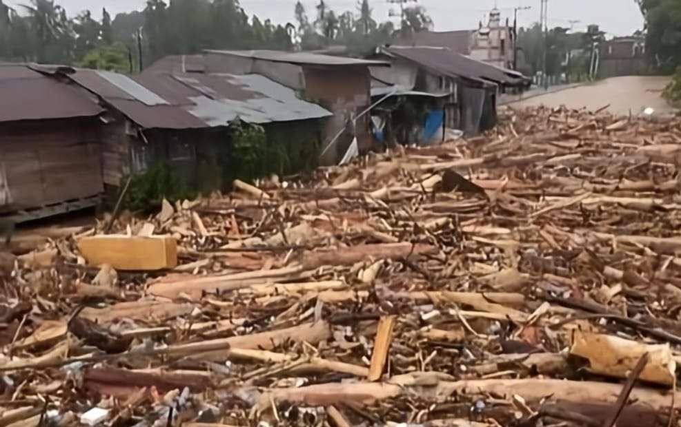 BRIN bantu identifikasi kayu hanyut terbawa banji Sumatera [rri]