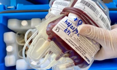 Ilustrasi donor darah [ajnn]