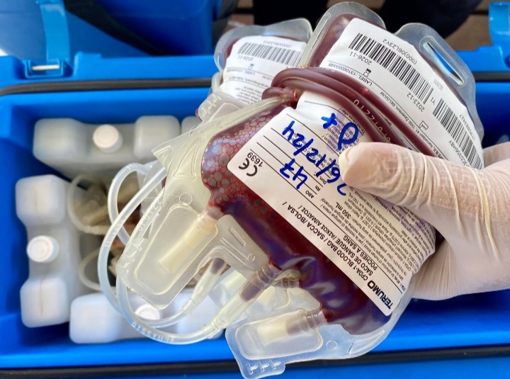 Ilustrasi donor darah [ajnn]