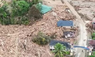 Ilustrasi kayu gelondongan hanyut terbawa banjir [jabarstyle]