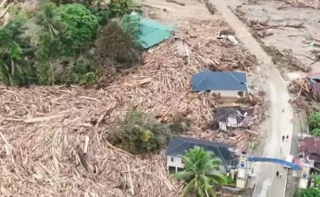 Ilustrasi kayu gelondongan hanyut terbawa banjir [jabarstyle]