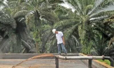 Ilustrasi limbah cair sawit [sawitkita]