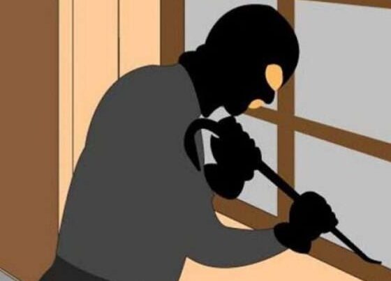 Ilustrasi pencurian [rri]