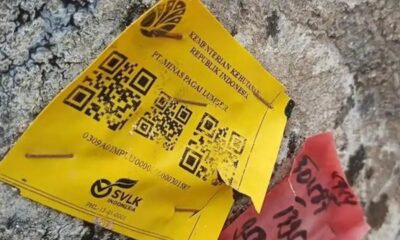 Kayu gelondongan berstiker kemenhut [kilatstorage]