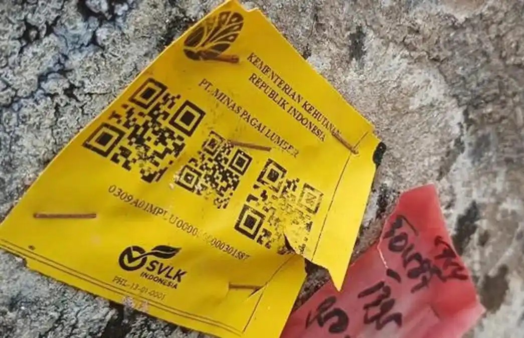 Kayu gelondongan berstiker kemenhut [kilatstorage]