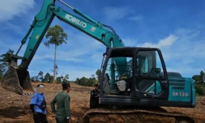 Ditetapkan 2 tersangka Pembukaan Lahan Kawasan Hutan Lindung Sungai Wain [antaranews]
