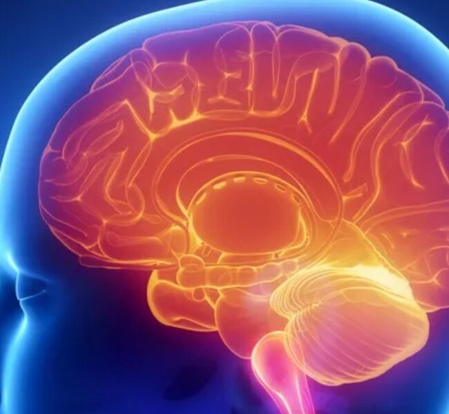 Ilustrasi otak cerdas [malangtimes]