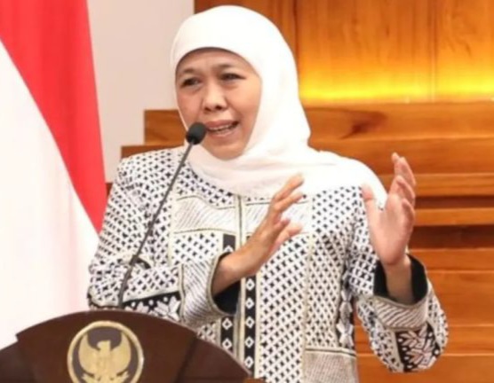 Gubernur Jawa Timur Khofifah Indar Parawansa [harianjatim]