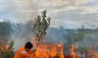 Ilustrasi kebakaran lahan [radartarakan]