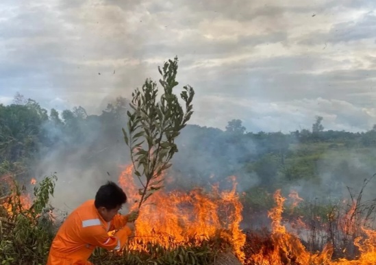 Ilustrasi kebakaran lahan [radartarakan]