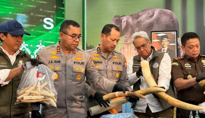 Sindikat besar pemburu Gajah Sumatera [riauonline]