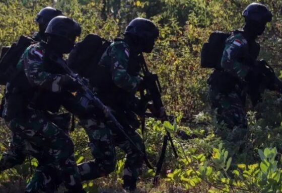 Ilustrasi TNI di Papua [bbc]