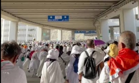 Ilustrasi ibadah haji [tiktok]