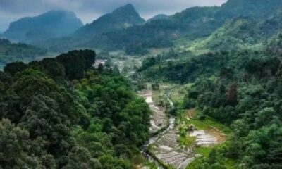 Ilustrasi rehabilitasi lahan bekas tambang [asatunews]