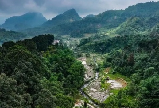 Ilustrasi rehabilitasi lahan bekas tambang [asatunews]