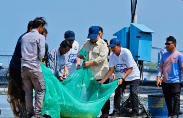 Prabowo ikut panen udang di Kebumen [jpnn]