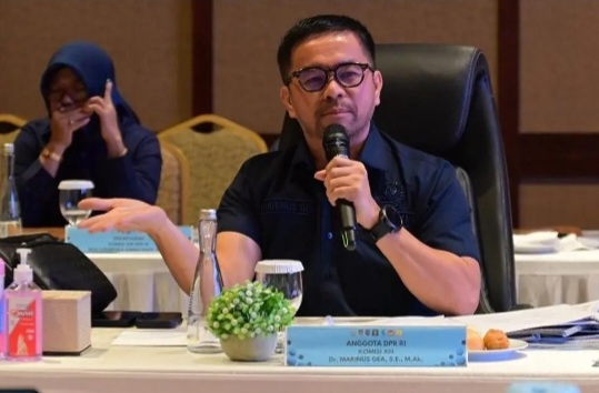 Anggota DPR RI Komisi XIII, Marinus Gea [publika]