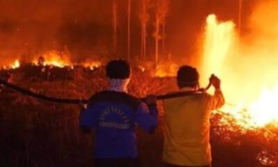 415 Ha lahan di Kutai Barat Kaltim terbakar [antara]