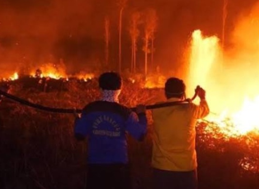 415 Ha lahan di Kutai Barat Kaltim terbakar [antara]