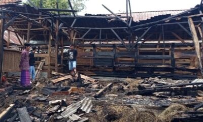 Kandang di Pandeglang Terbakar [endemik]