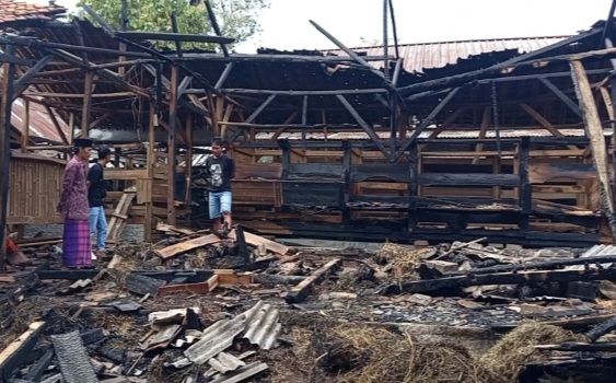 Kandang di Pandeglang Terbakar [endemik]