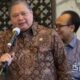 Menteri Koordinator Bidang Perekonomian Airlangga [tiktok]