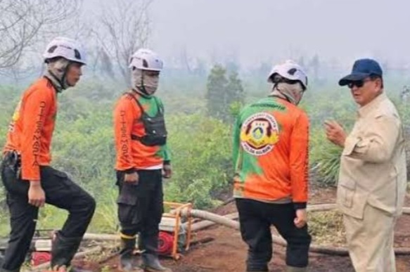 Prabowo minta tindak tegas pembakaran hutan di Sumatera Selatan [disway]