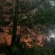 Ilustrasi kebakaran hutan di Kalimantan Barat [kongkrit]