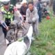 Pengendara tewas tertimpa pohon tumbang saat pulang kerja [radarbanten]